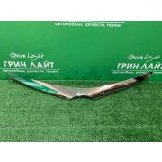 Молдинг решетки радиатора (хром)