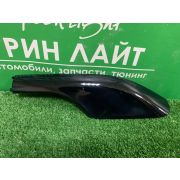Заглушка рейлингов Corolla Fielder NZE144, 2006-2012 г, левая задняя